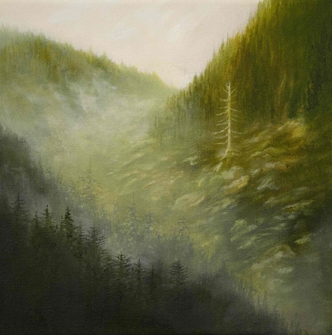 Lonely pine